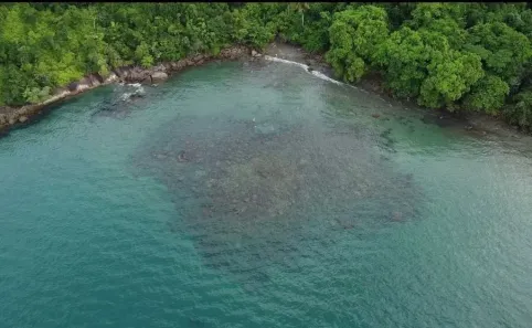 Lote/Terreno à venda, 2096m² no Acaraú, Ubatuba