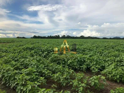 Fazenda/Sítio com 1 Quarto à venda, 100m² no , Vila Rica