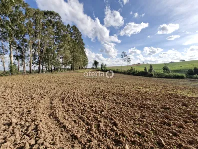 Fazenda/Sítio à venda, 21917m² no , Contenda