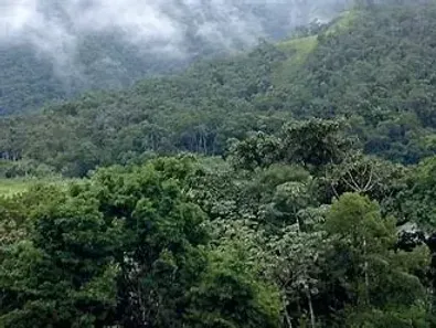 Fazenda/Sítio à venda, 380000000m² no , Pauini