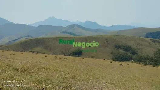 Lote/Terreno à venda, 20000m² no , Piquete