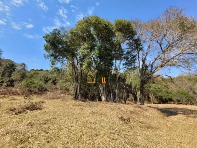 Lote/Terreno à venda, 9520m² no Areal, Pinhalzinho