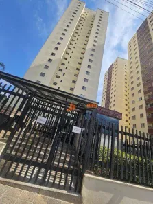 Apartamento com 3 Quartos à venda, 64m² no Vila Carrão, São Paulo