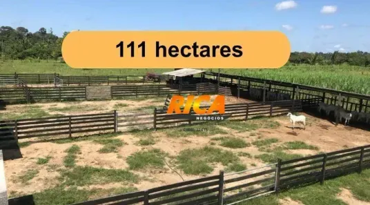 Fazenda/Sítio com 2 Quartos à venda, 1110000m² no Área rural de Canutama, Canutama