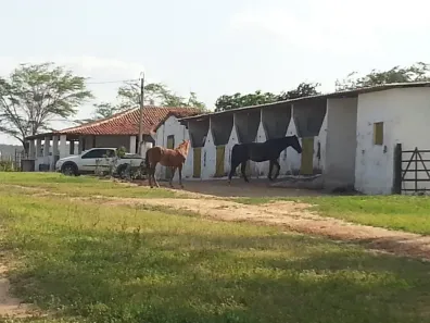 Fazenda/Sítio com 4 Quartos à venda, 2260000m² no , Bento Fernandes