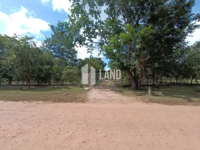 Fazenda/Sítio com 3 Quartos à venda, 321m² no Centro, Timon