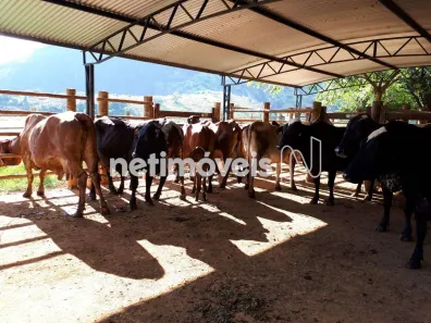 com 2 Quartos à venda, 999999m² no , Mutum