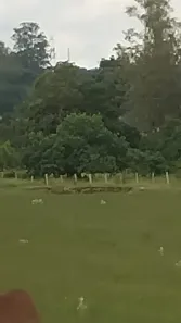 Fazenda/Sítio com 1 Quarto à venda, 24200m² no , Cesário Lange