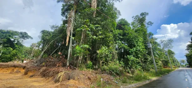 Lote/Terreno à venda, 250m² no Ponta Negra, Manaus