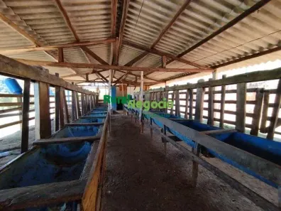 Fazenda/Sítio com 2 Quartos à venda, 193600m² no Centro, Lorena
