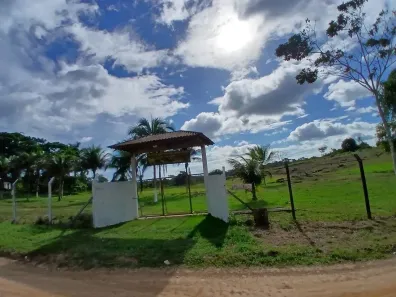 Fazenda/Sítio com 4 Quartos à venda, 250000m² no , Rio Preto da Eva