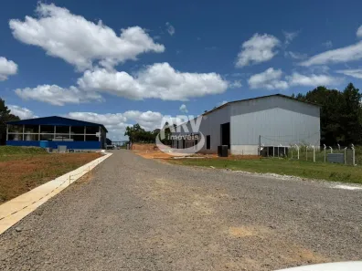 Galpão/Depósito/Armazém para alugar, 700m² no Jardim do Cedro, Gravataí