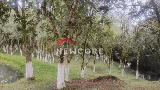 Fazenda/Sítio com 1 Quarto à venda, 6130m² no Área Rural de São José dos Pinhais, São José dos Pinhais