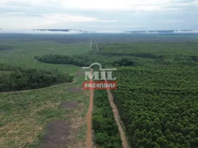 Fazenda/Sítio à venda, 500m² no Setor Central, Goiatins