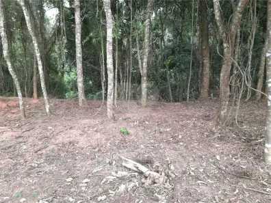 Lote/Terreno à venda, 410m² no Jardim Peri, São Paulo