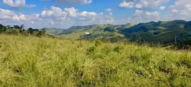 Lote/Terreno à venda, 5000m² no , Cambuí