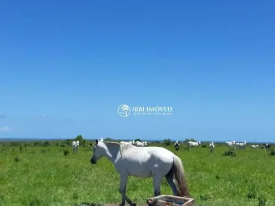Fazenda/Sítio à venda, 484000m² no Belmonte, Belmonte
