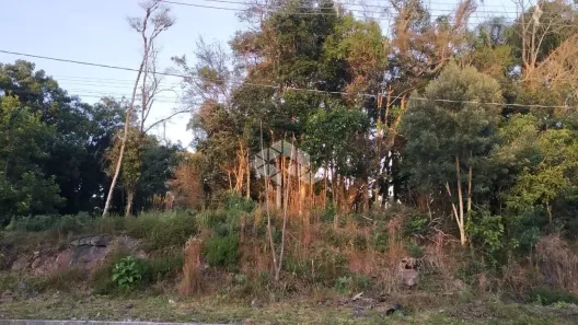 Lote/Terreno à venda, 545m² no Nova Petrópolis, Nova Petrópolis