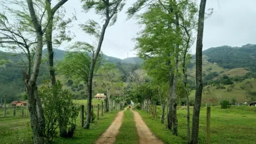 Fazenda/Sítio com 2 Quartos à venda, 32000m² no Freitas, Paulo Lopes