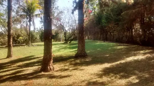 Fazenda/Sítio com 2 Quartos à venda, 180m² no Parque Novo Mundo, Americana