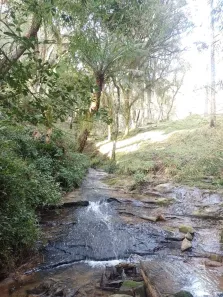 Lote/Terreno à venda, 119000m² no , Urubici