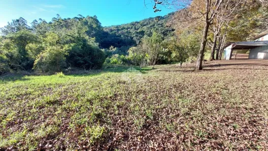 Fazenda/Sítio com 3 Quartos à venda, 130000m² no Tuiuti, Bento Gonçalves