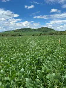 Fazenda/Sítio à venda, 1000m² no Área Rural de Mineiros, Mineiros