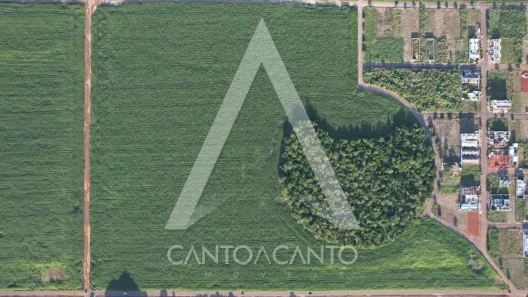 Lote/Terreno à venda, 455m² no Jardim Terra Rica, Sinop