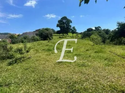 Lote/Terreno à venda, 12000m² no Parque Edu Chaves, São Paulo