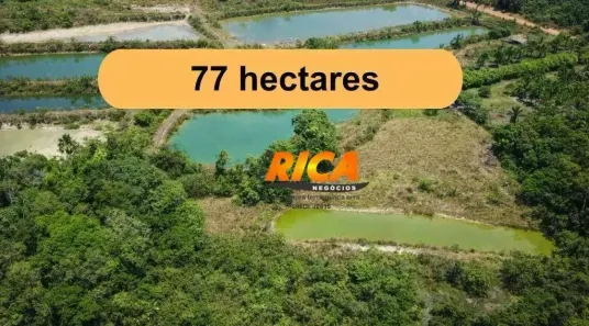Fazenda/Sítio à venda, 770000m² no Área Rural de Porto Velho, Porto Velho