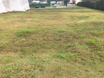 Lote/Terreno à venda, 579m² no Alphaville, Santana de Parnaíba