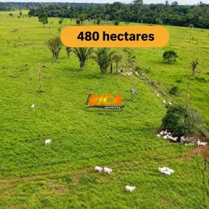 Fazenda/Sítio à venda, 4800000m² no Área Rural de Porto Velho, Porto Velho