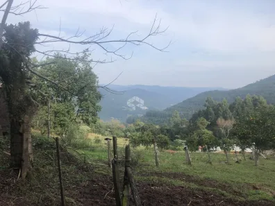 Fazenda/Sítio à venda, 38000m² no Nova Petrópolis, Nova Petrópolis