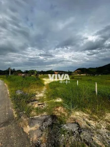 Lote/Terreno à venda, 2200m² no Zona Rural, Ilhota