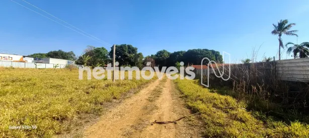 Fazenda/Sítio com 3 Quartos à venda, 6000m² no , Brasília
