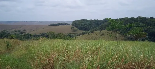 Fazenda/Sítio à venda, 300000m² no Centro, Tamandaré
