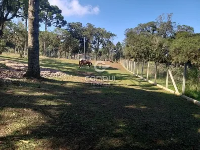 Fazenda/Sítio com 1 Quarto à venda, 20000m² no Campestre da Faxina, São José dos Pinhais