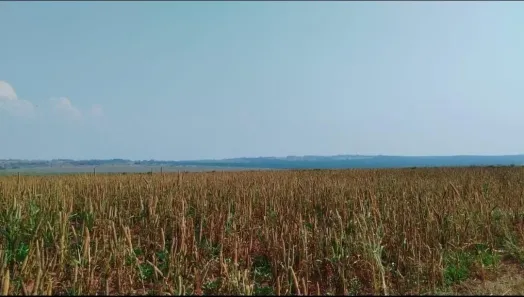 Fazenda/Sítio com 1 Quarto para venda ou aluguel, 21054000m² no , Teodoro Sampaio