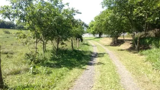 Fazenda/Sítio com 2 Quartos à venda, 27000m² no Boa Vista, Portão