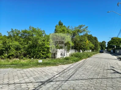 Lote/Terreno à venda, 2039m² no Campeche, Florianópolis