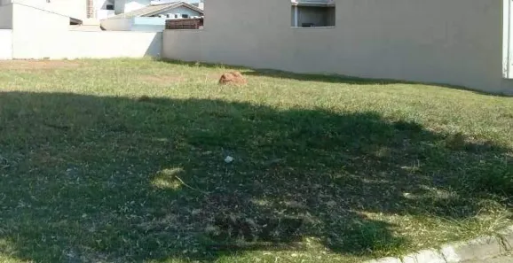 Lote/Terreno à venda, 300m² no Cascata, Paulínia