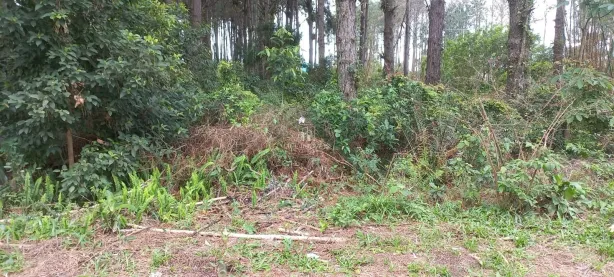 Lote/Terreno à venda, 265m² no Ambrósio, Garopaba