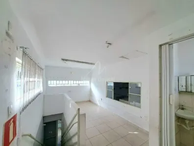 Galpão/Depósito/Armazém para alugar, 275m² no Nova Suíssa, Belo Horizonte