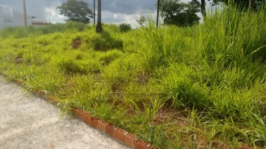 Lote/Terreno à venda, 204m² no Fazenda Rio Preto, São José do Rio Preto