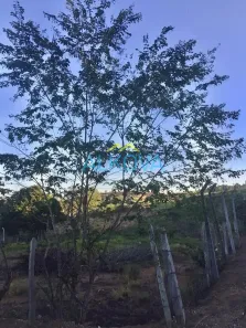 Lote/Terreno à venda, 1400m² no Chácara Marambaia, Caçapava