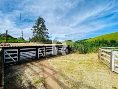 Fazenda/Sítio à venda, 38000m² no Área Rural de Conselheiro Lafaiete, Conselheiro Lafaiete