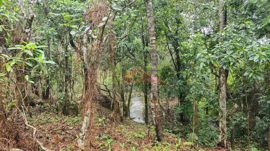 Lote/Terreno à venda, 36000m² no Ratones, Florianópolis