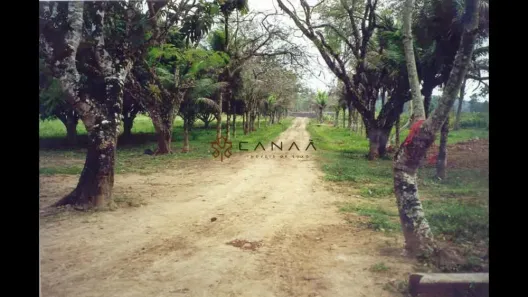 com 2 Quartos à venda, 200m² no Pantanal, Paraty