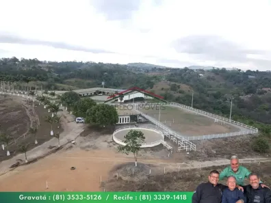 Fazenda/Sítio à venda, 350000m² no Centro, Chã Grande