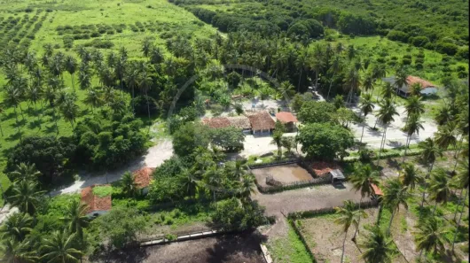 Fazenda/Sítio com 4 Quartos à venda, 8000000m² no Centro, Beberibe
